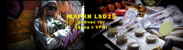 ПСИЛОЦИБИНОВЫЕ ГРИБЫ Зеленодольск