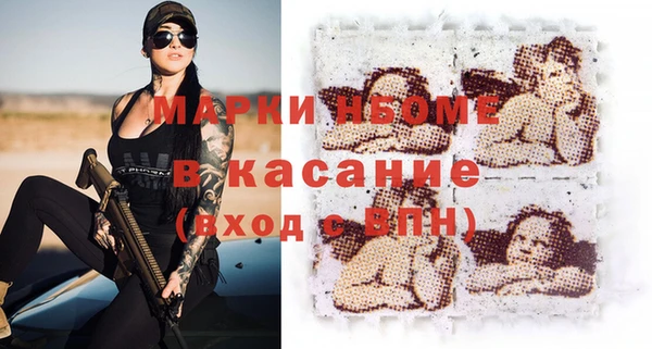 гидра Инсар