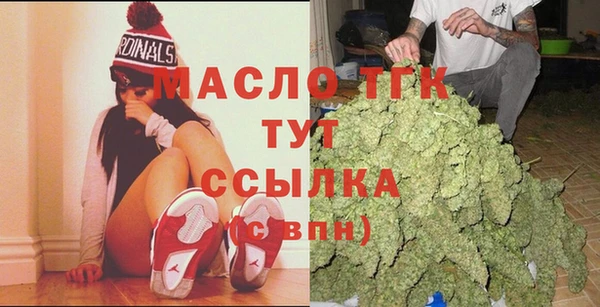 гидра Инсар