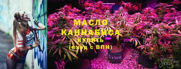 apvp Иннополис