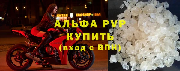 apvp Иннополис