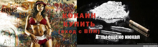прущий лед Карпинск