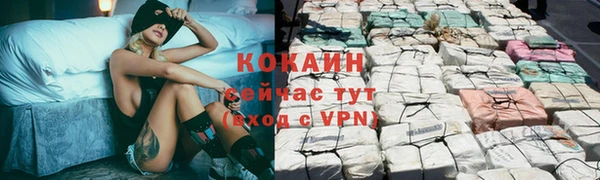 apvp Иннополис