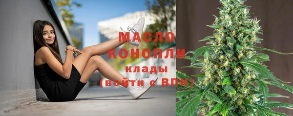 гидра Инсар