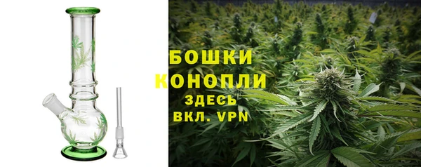apvp Иннополис