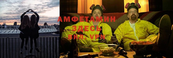 apvp Иннополис