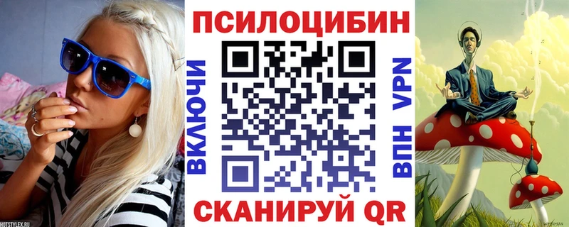 Псилоцибиновые грибы мицелий  сколько стоит  Бикин 