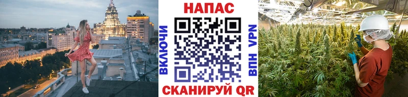 Канабис конопля  наркотики  Бикин 